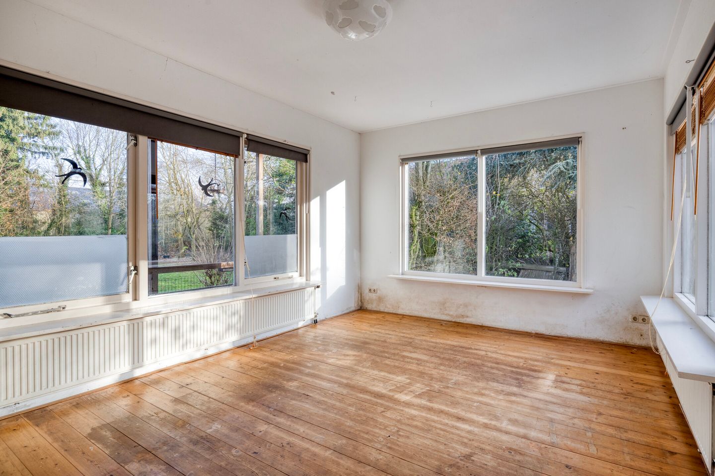 Photo 19 of Greveling 13