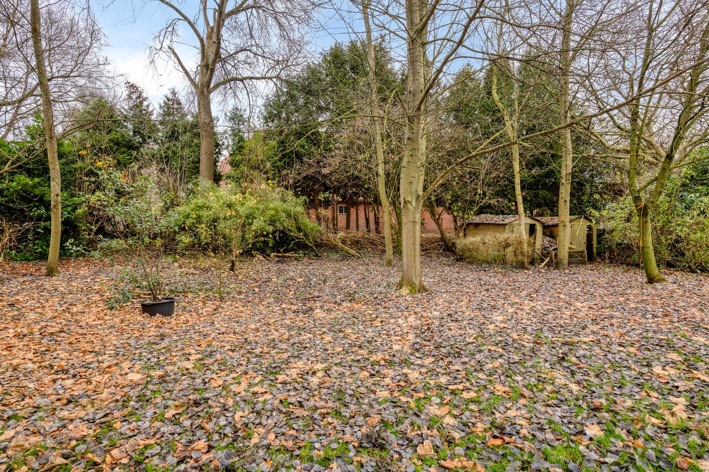 Photo 40 of Greveling 13