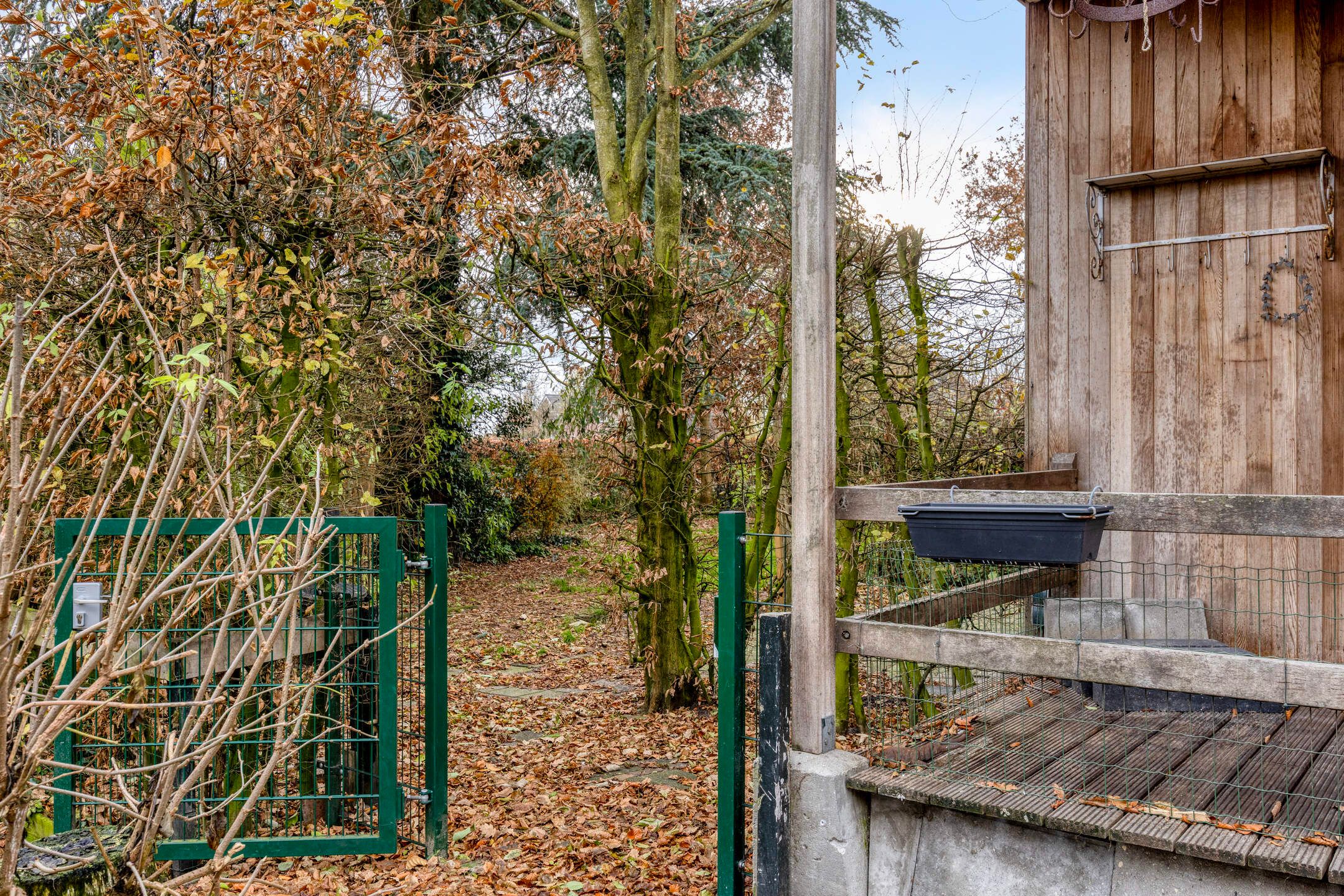 Photo 42 of Greveling 13