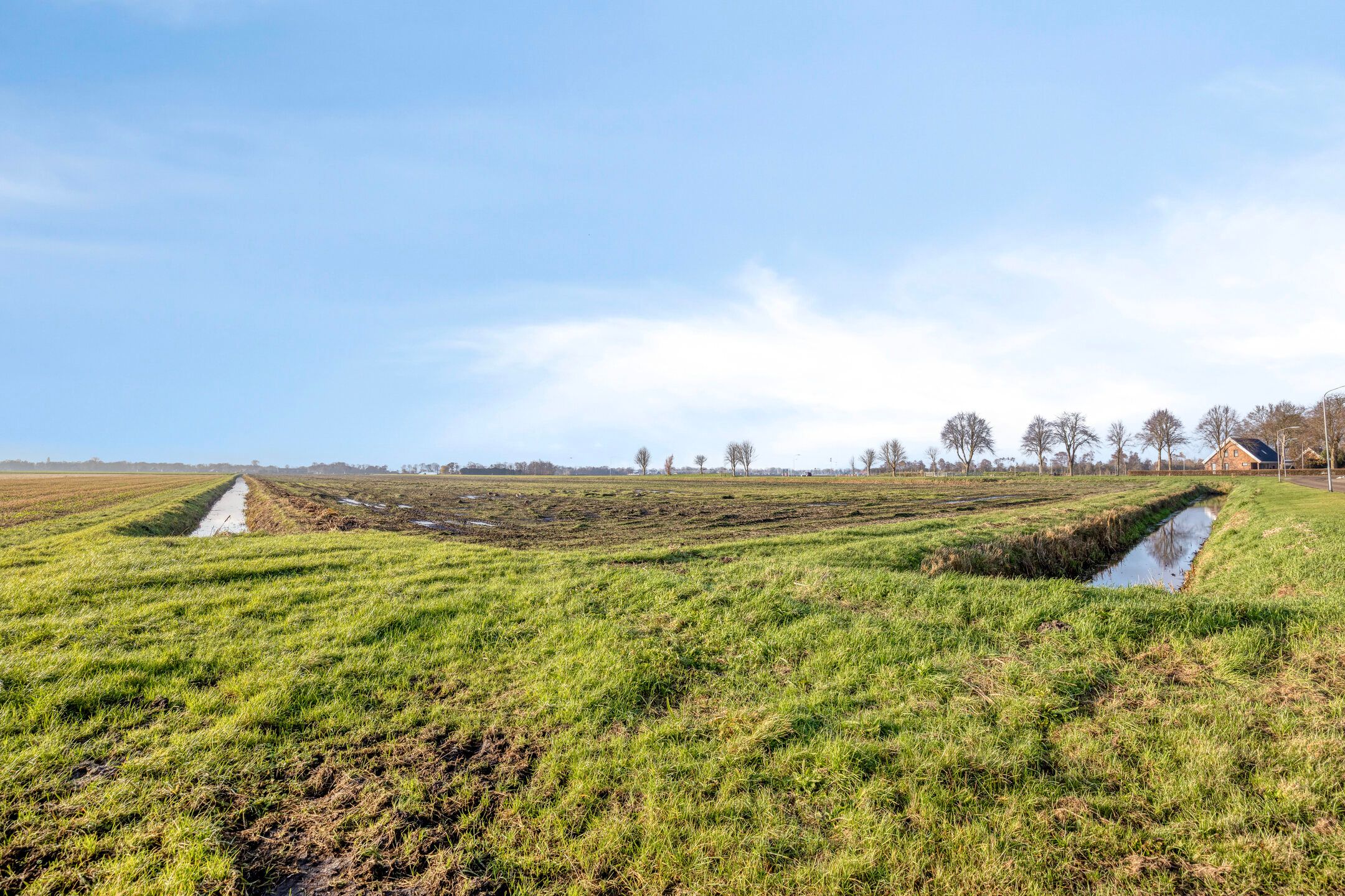 Photo 45 of Greveling 13