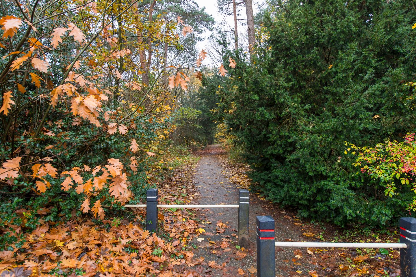 Foto 40 van Vermiljoenstraat 2