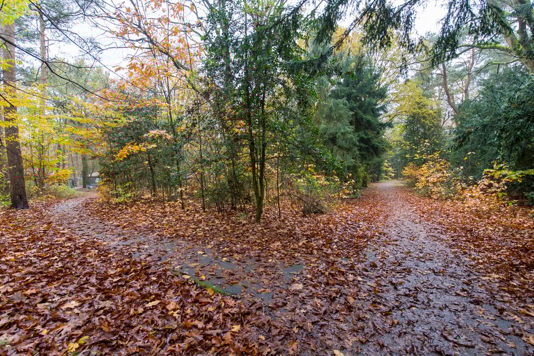 Foto 41 van Vermiljoenstraat 2