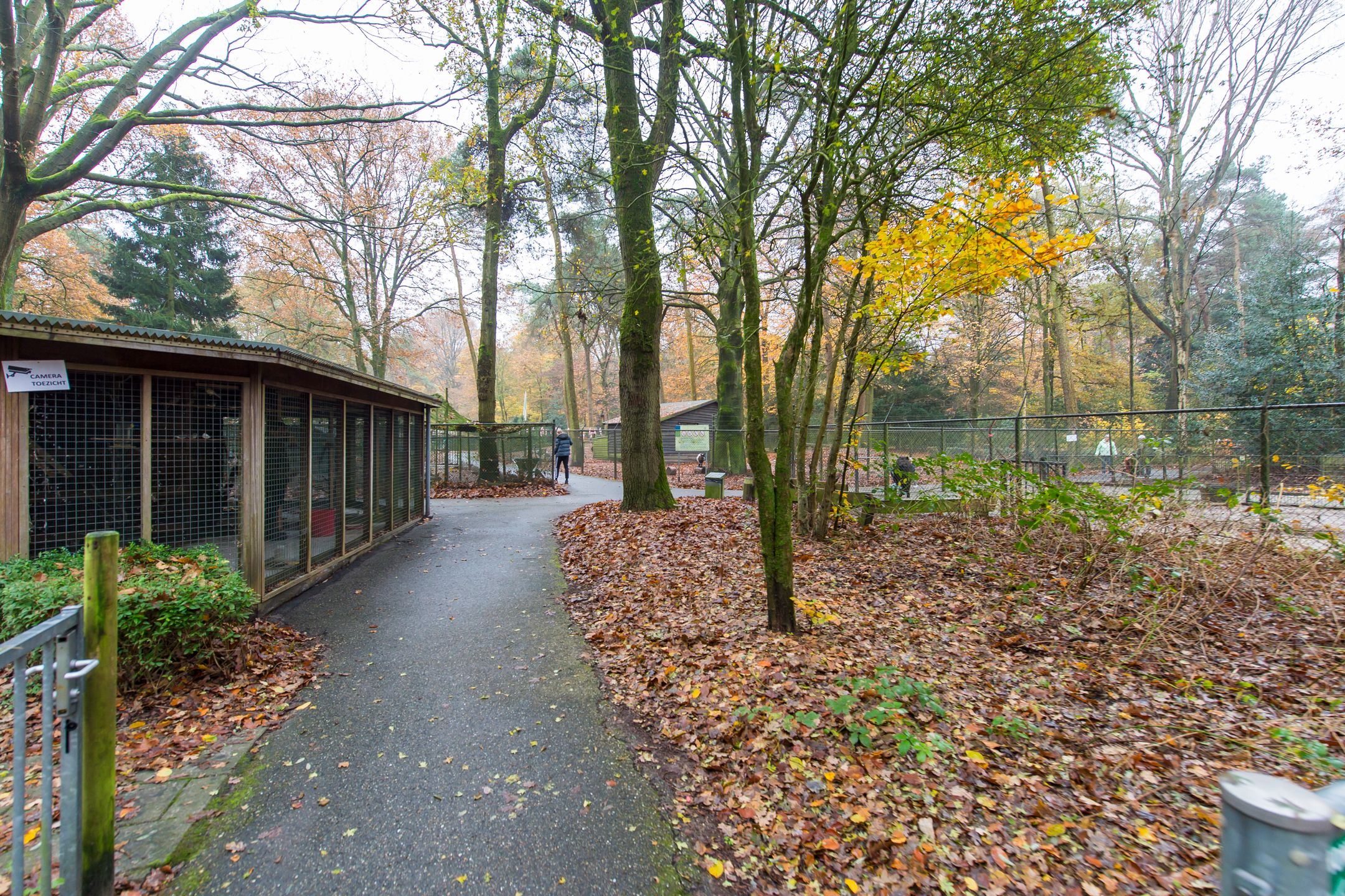 Foto 42 van Vermiljoenstraat 2