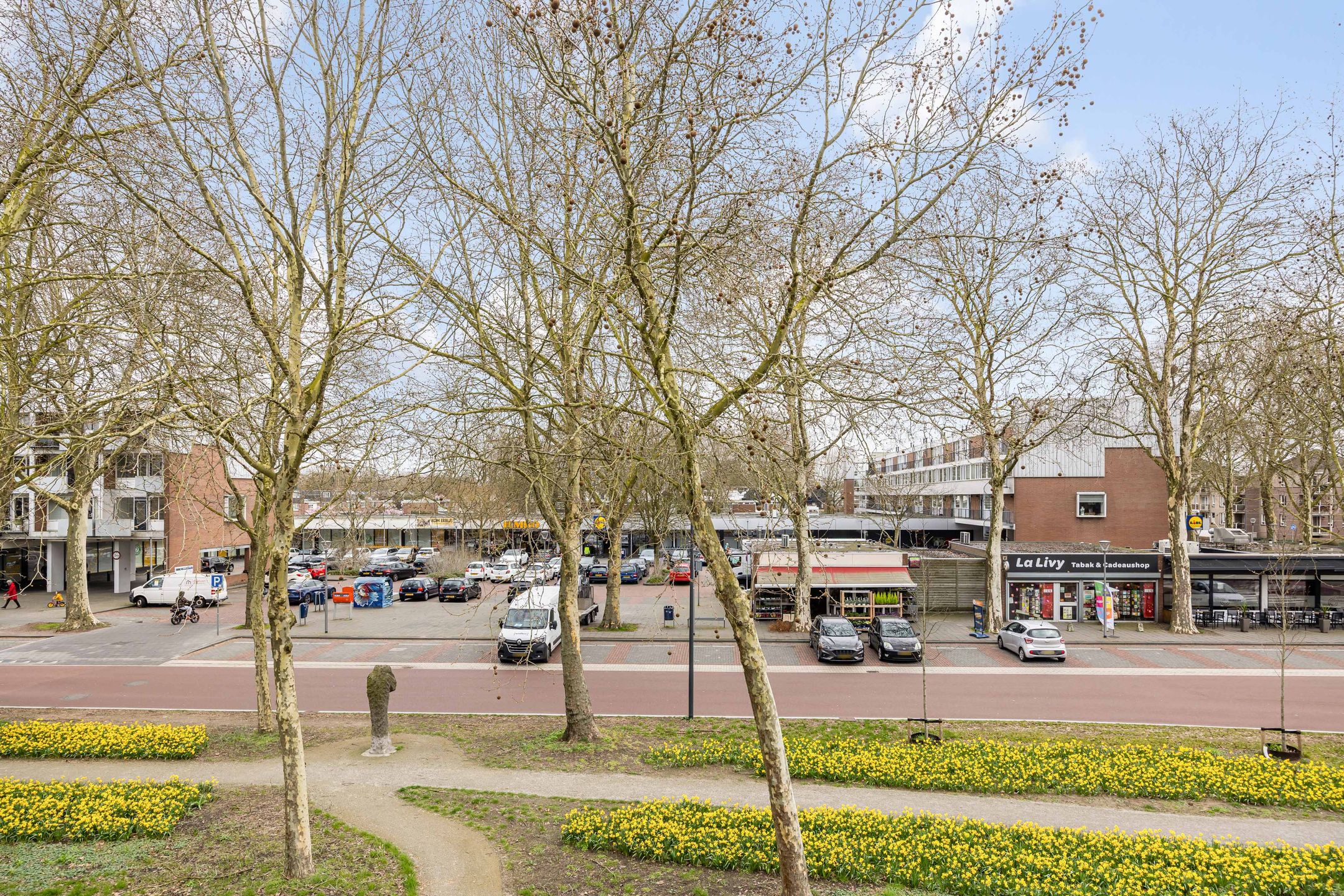 Foto 21 van Pastoor van Thiellaan 45