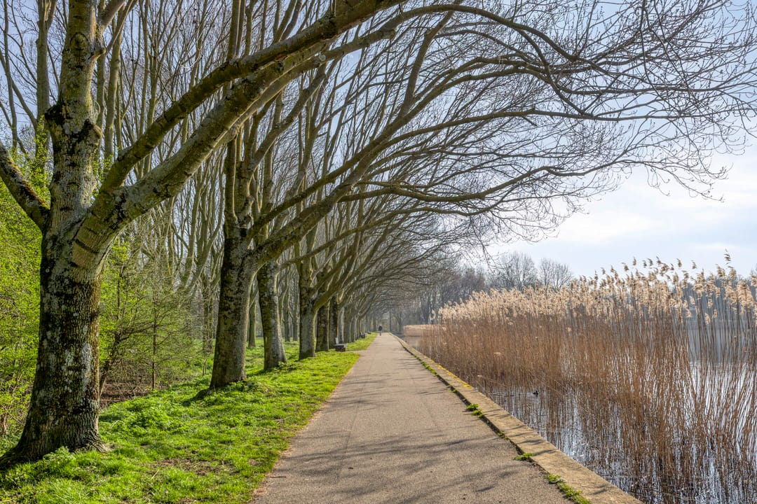 Foto 28 van Opaalstraat 12