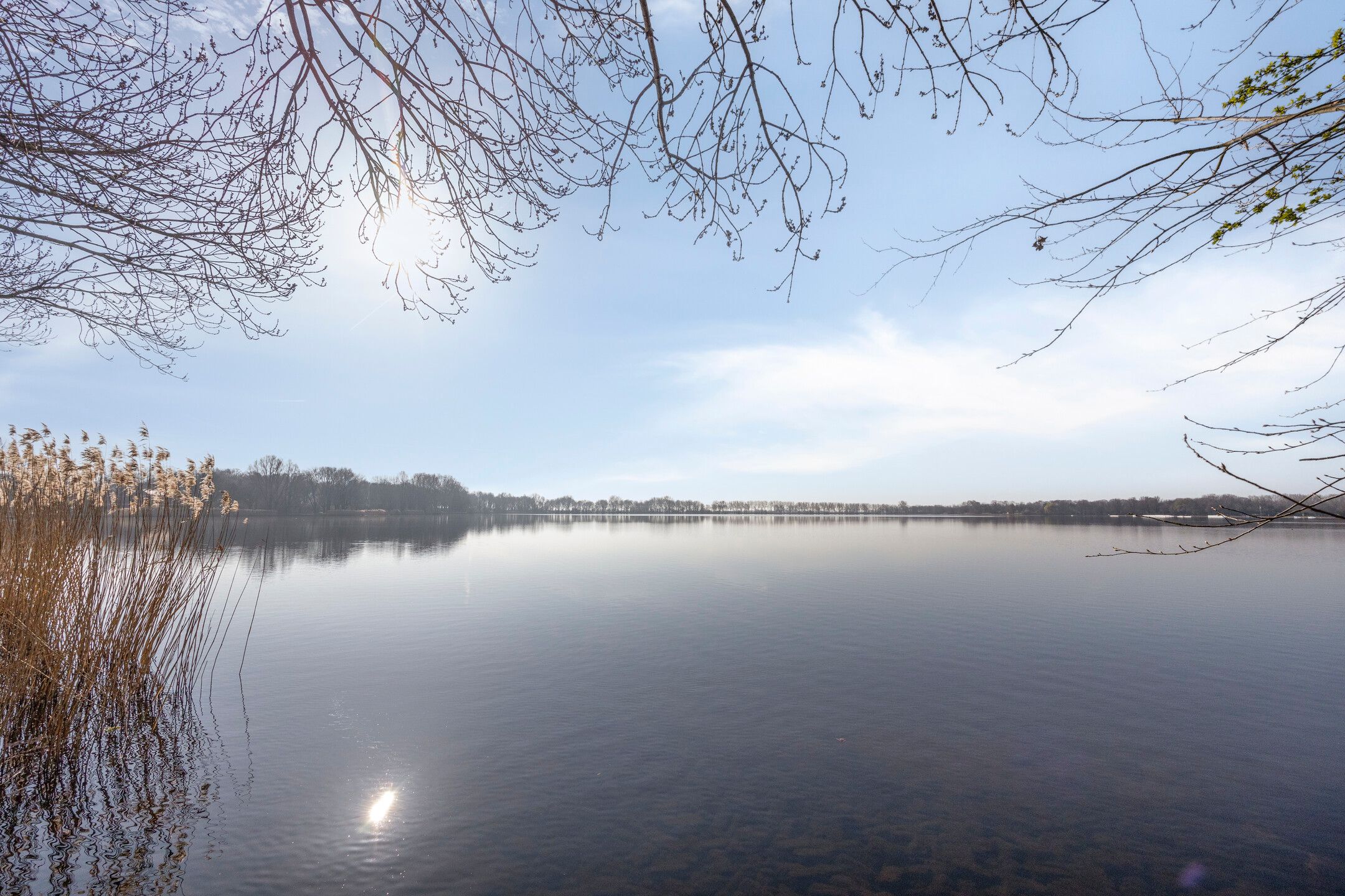 Foto 30 van Opaalstraat 12