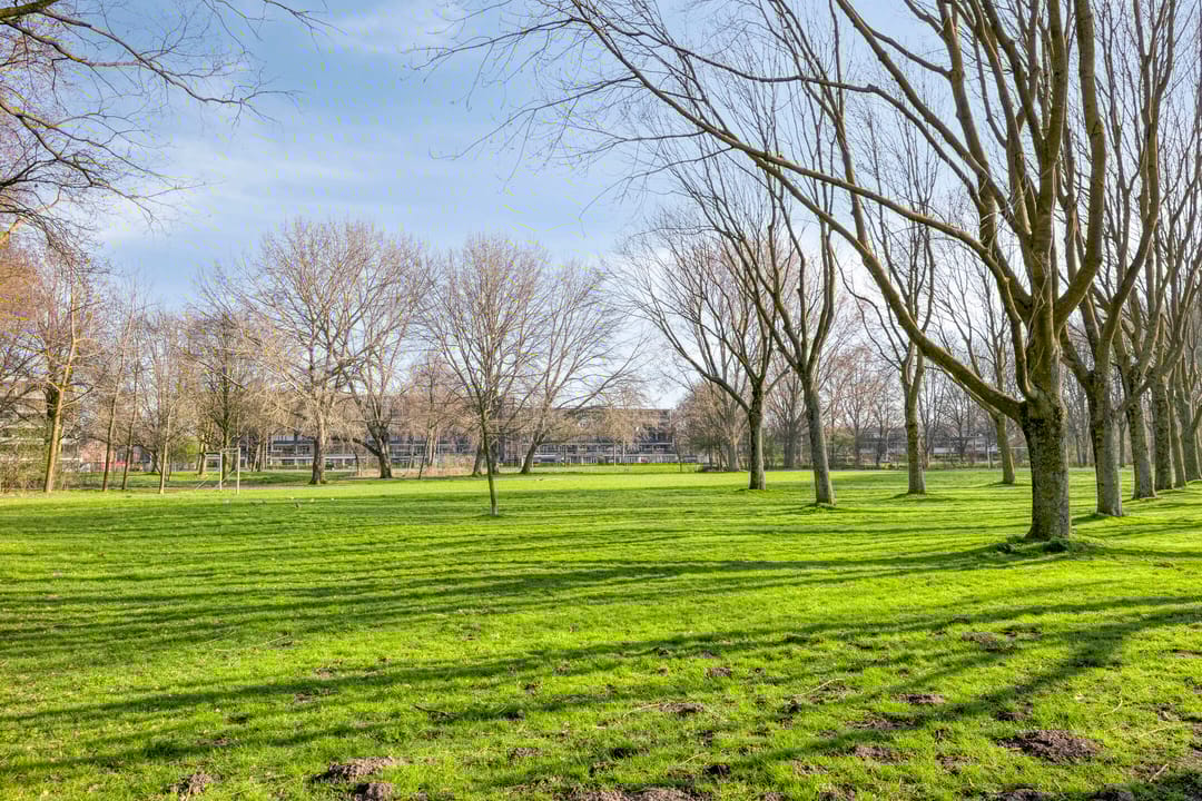 Foto 32 van Opaalstraat 12