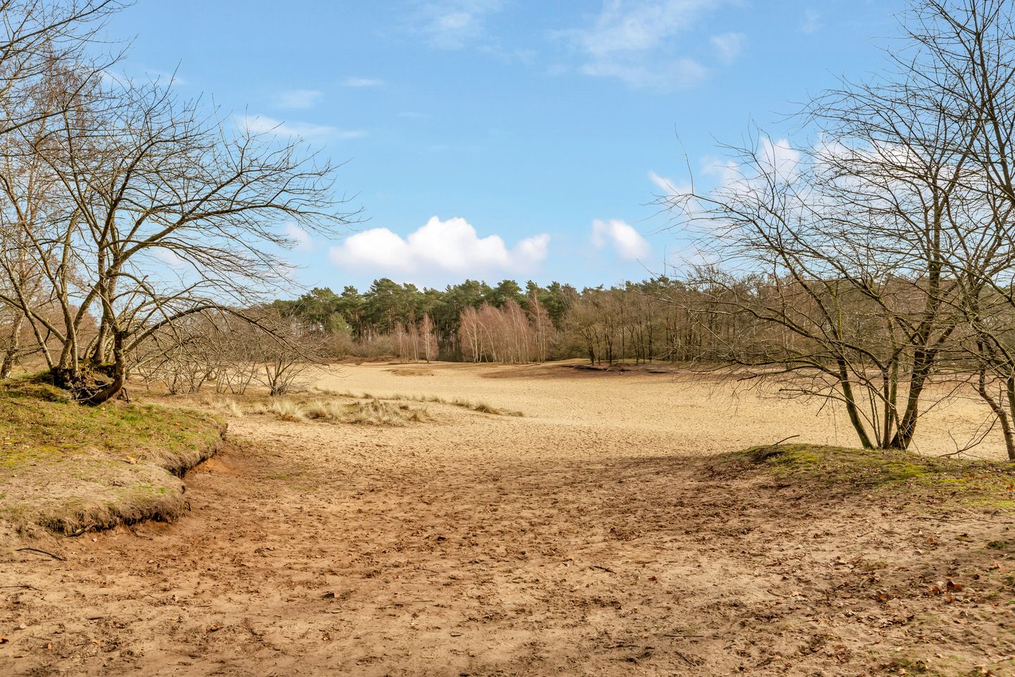 Foto 29 van Orionlaan 109