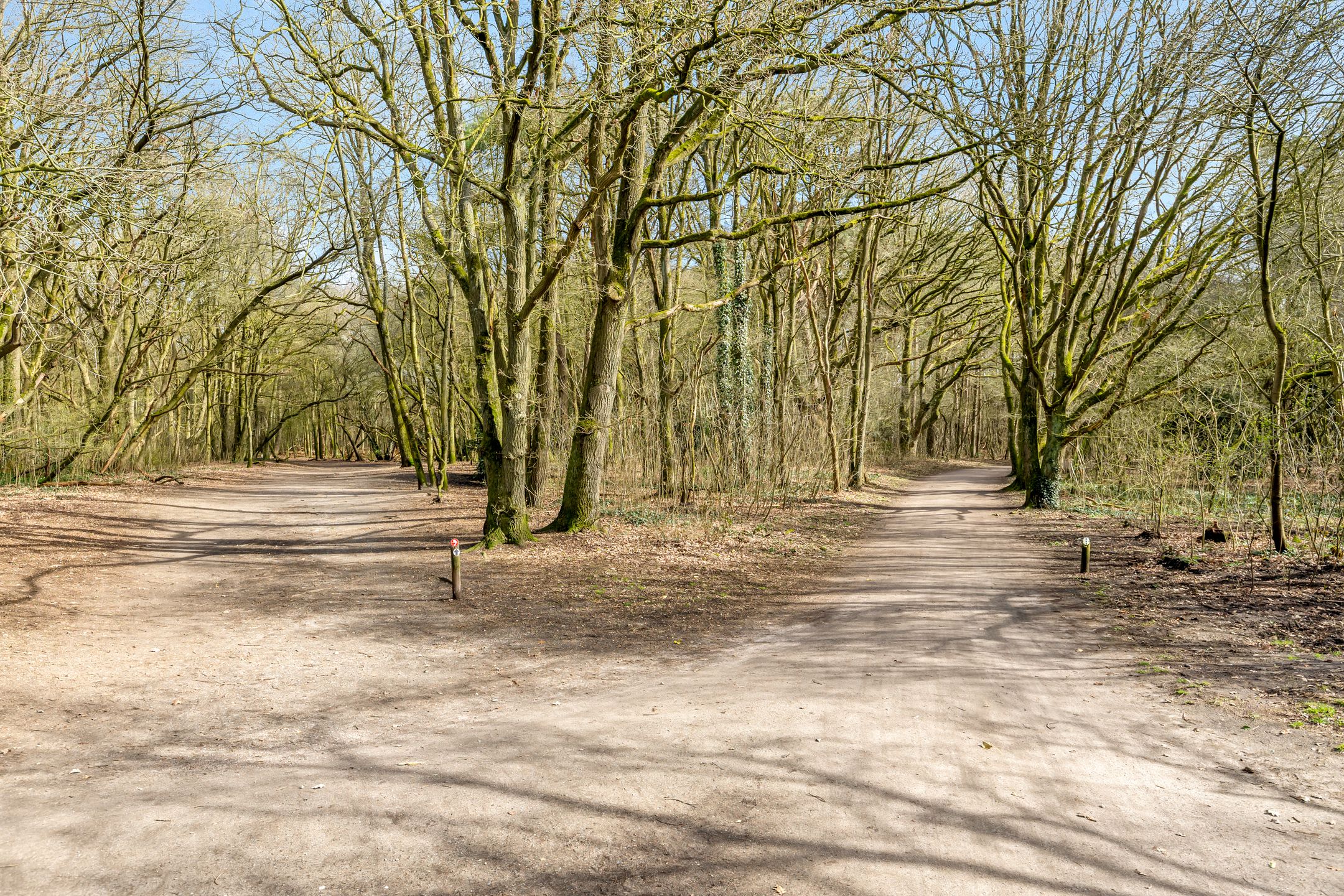 Foto 30 van Orionlaan 109