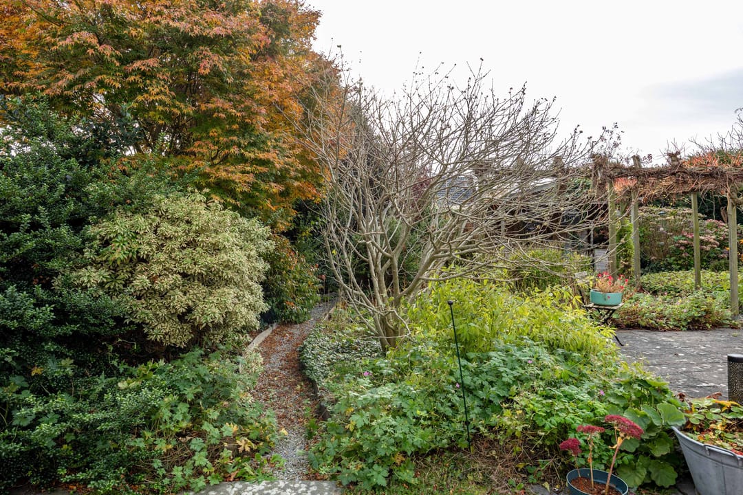 Foto 46 van Dokter Beumerstraat 46-B