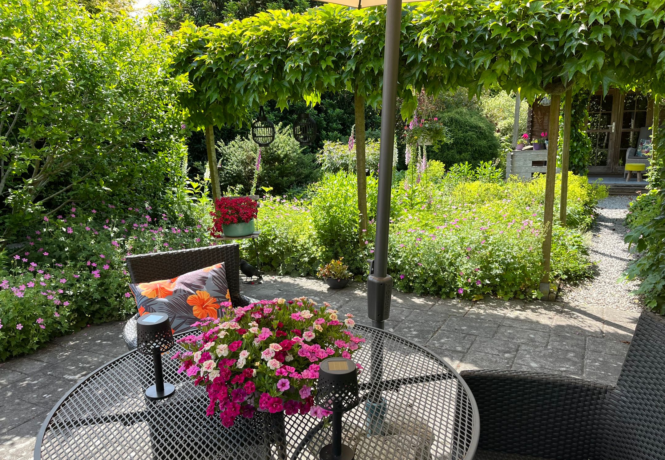 Foto 45 van Dokter Beumerstraat 46-B