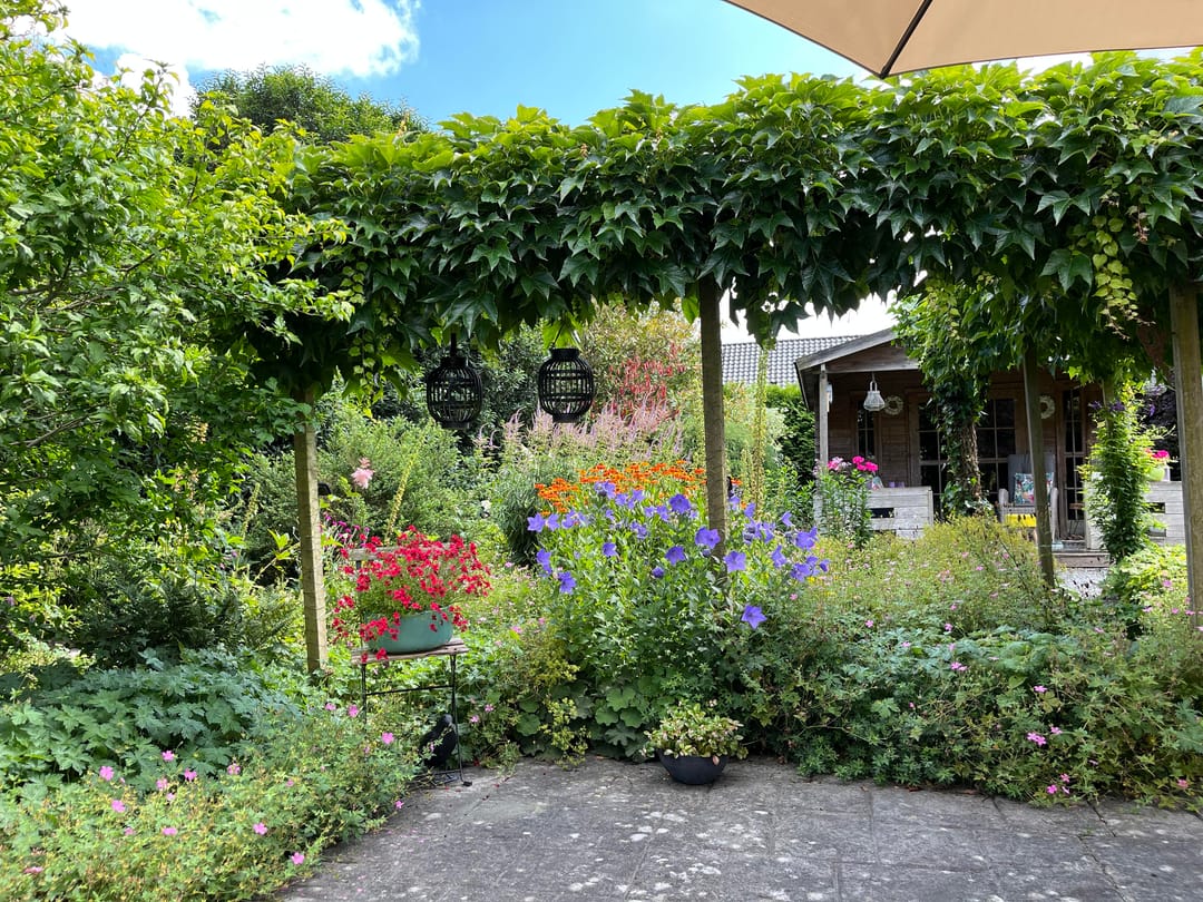 Foto 47 van Dokter Beumerstraat 46-B