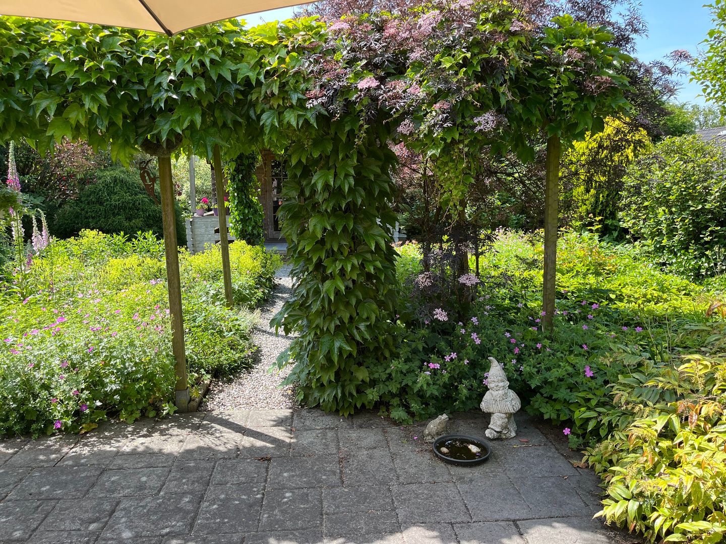 Foto 49 van Dokter Beumerstraat 46-B