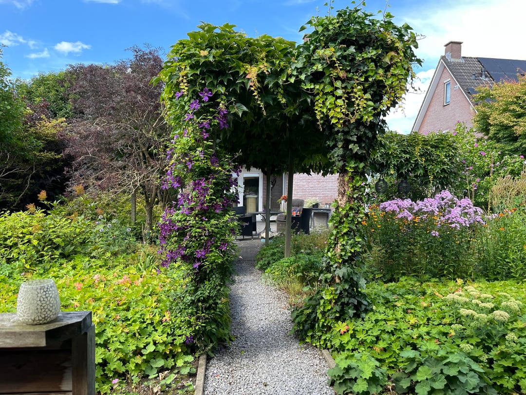 Foto 52 van Dokter Beumerstraat 46-B