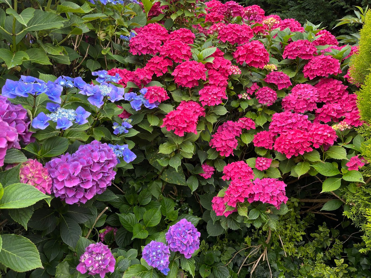 Foto 55 van Dokter Beumerstraat 46-B