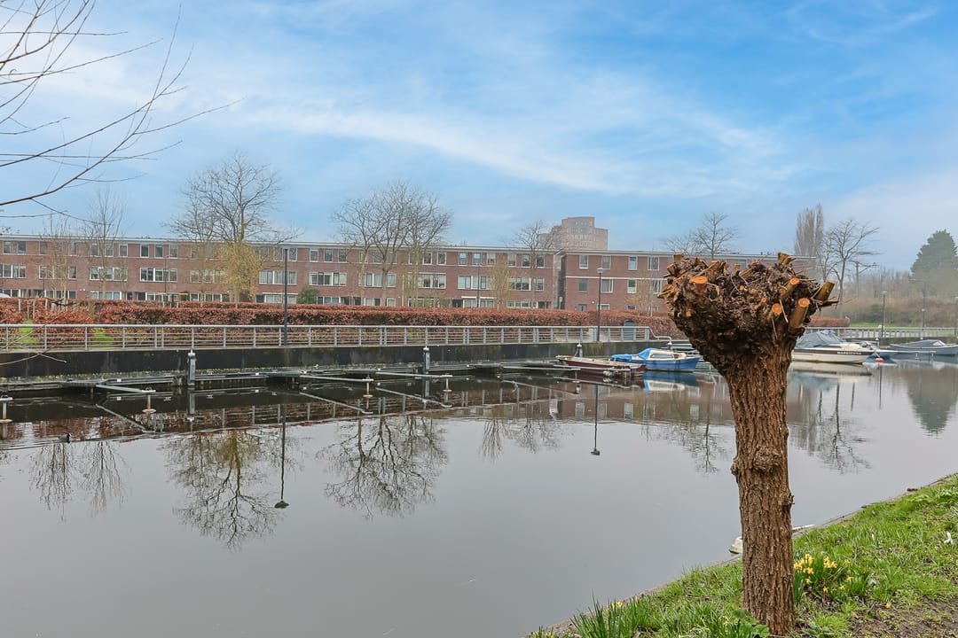 Foto 41 van Harmen Doumastraat 14