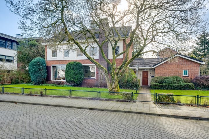 van Lutterveltplein 2