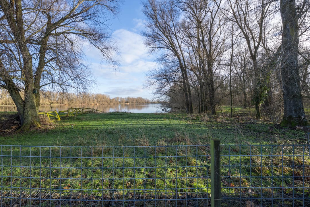 Foto 77 van Vriezeweg 38