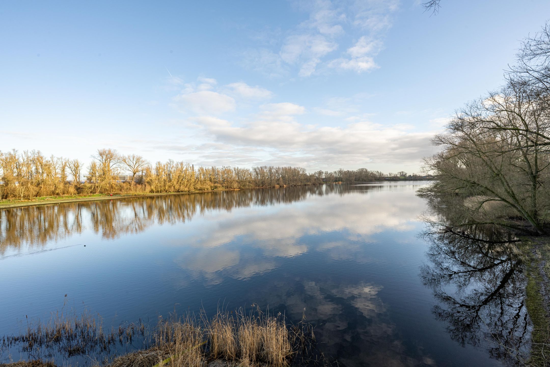 Foto 78 van Vriezeweg 38