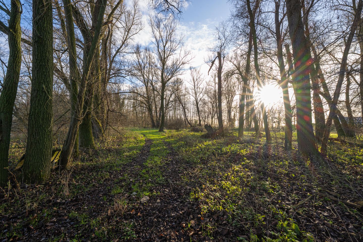 Foto 79 van Vriezeweg 38