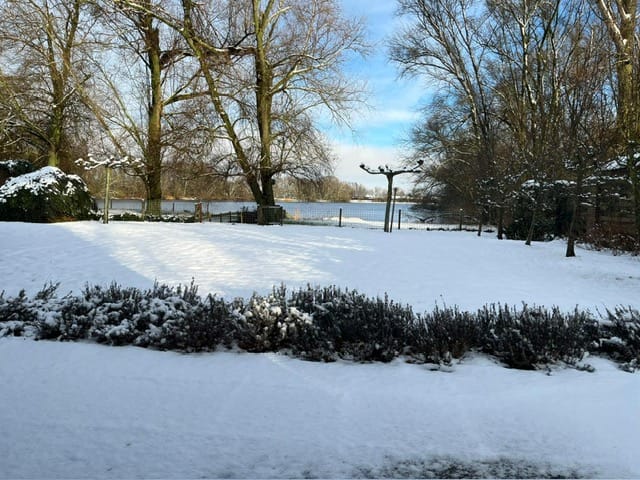 Foto 84 van Vriezeweg 38