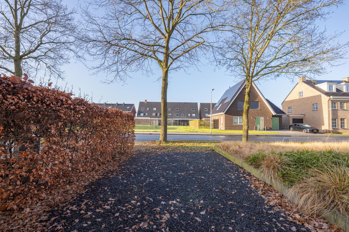 Foto 100 van Vriezeweg 38