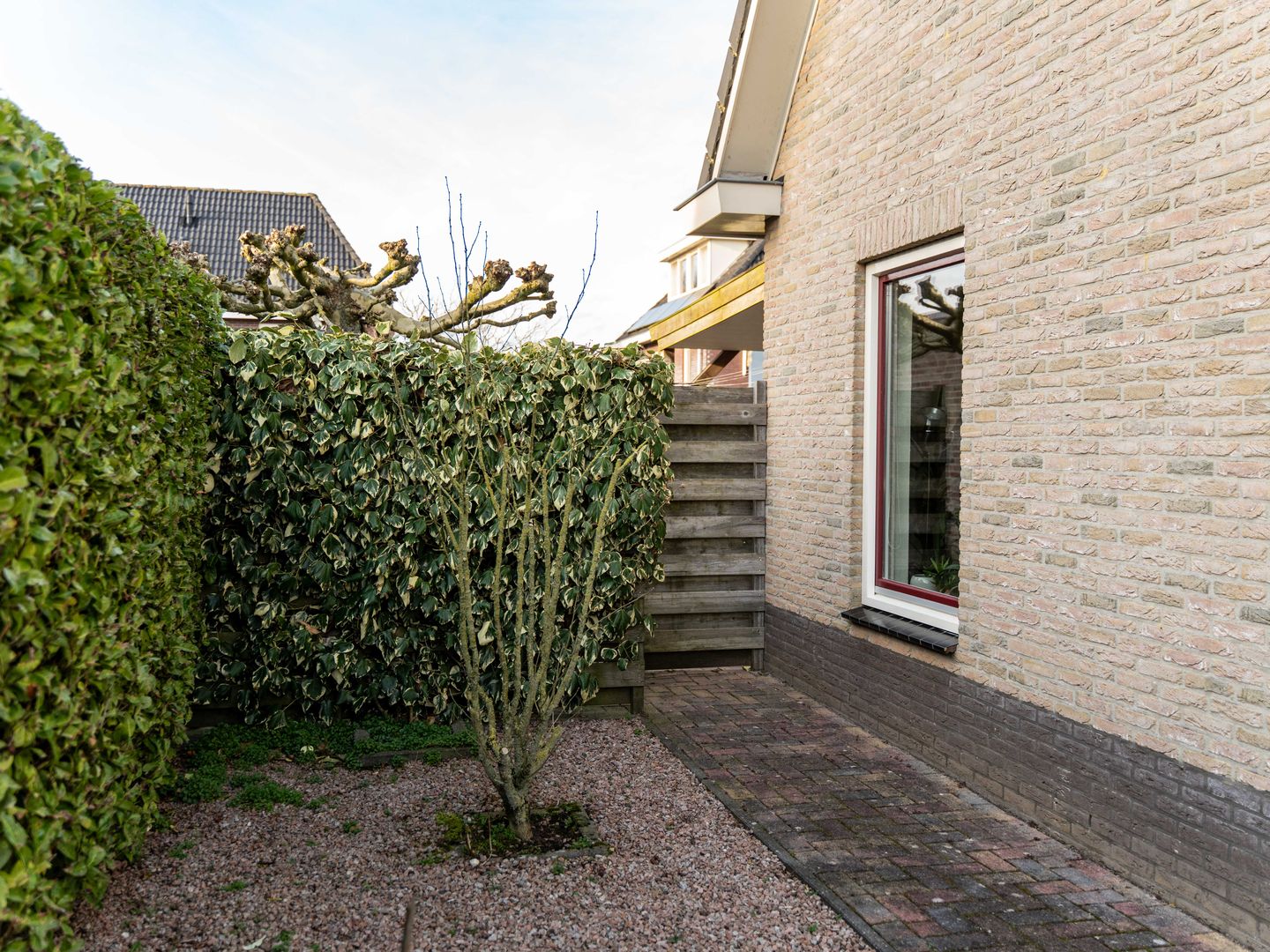 Photo 50 of Mariënwold 24