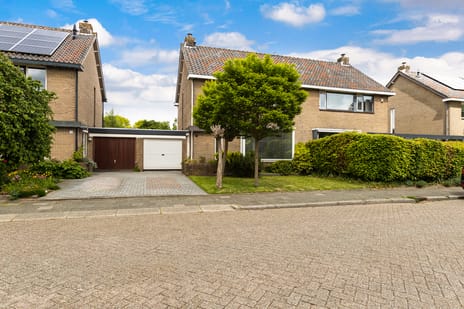 Rozemarijnsingel thumbnail