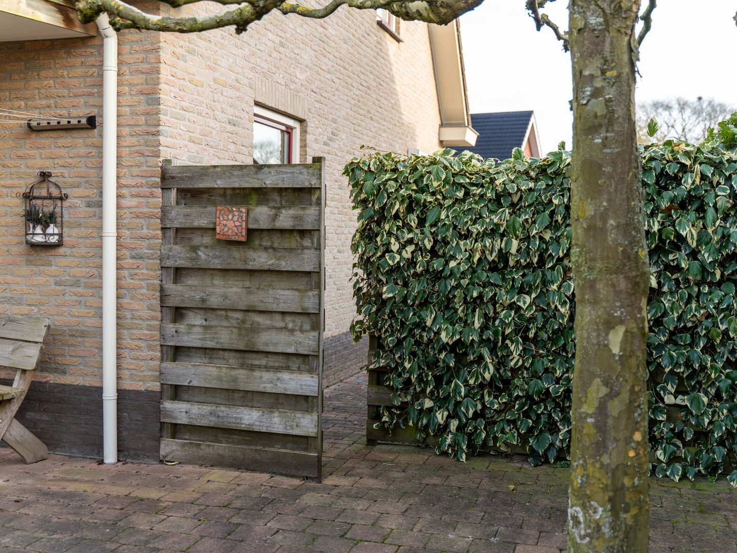 Photo 49 of Mariënwold 24