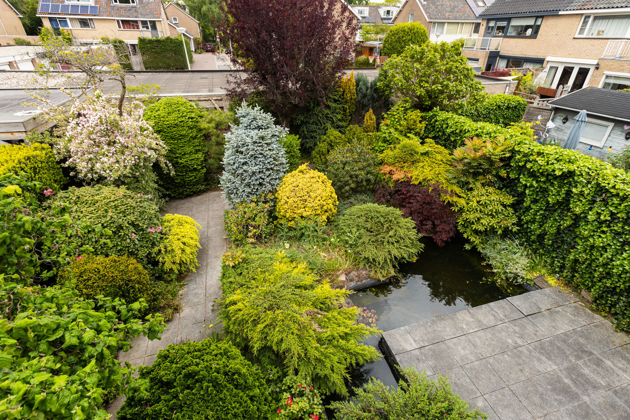 Foto 42 van Rozemarijnsingel 5