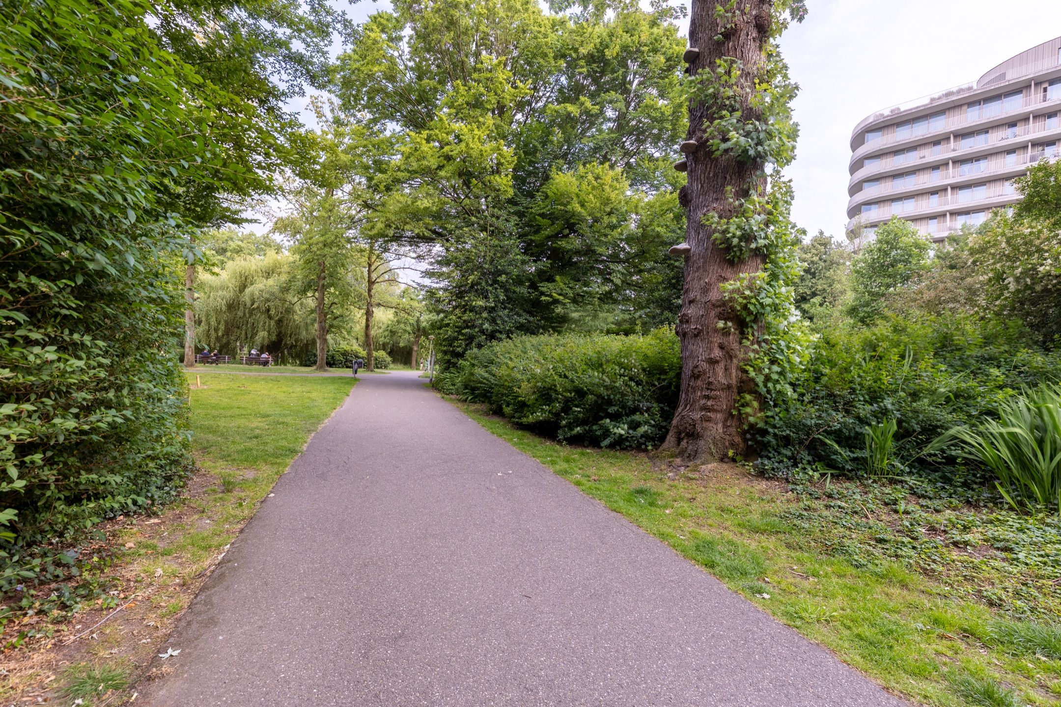 Foto 33 van Frederik van Eedenplein 8