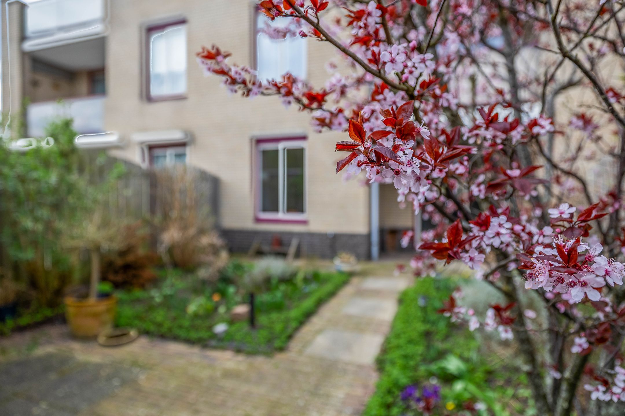 Photo 27 of Clusiusstraat 120