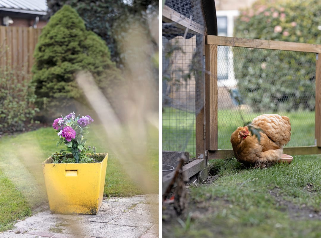 Foto 52 van Willem Marislaan 7