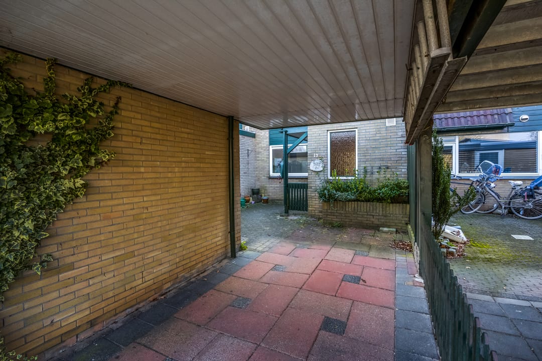 Foto 47 van Botter 29