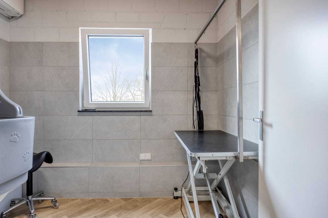 Foto 41 van Nieuwstraat 53-A