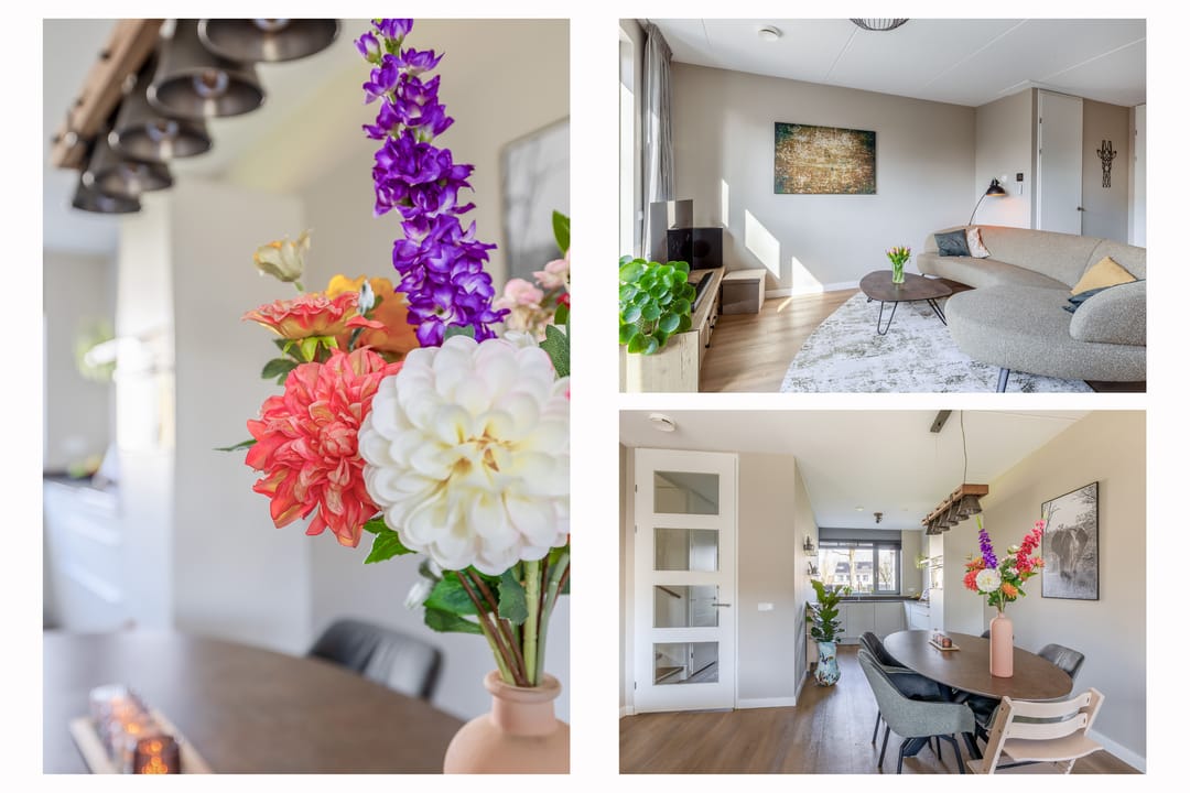 Foto 16 van Repelakker 6