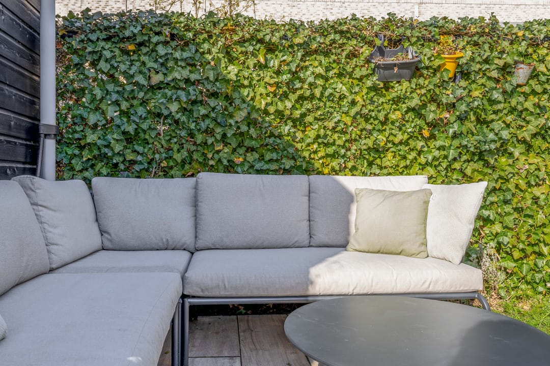 Foto 41 van Repelakker 6