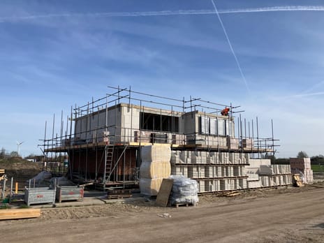 Holstein-Friesian 24 secondary image