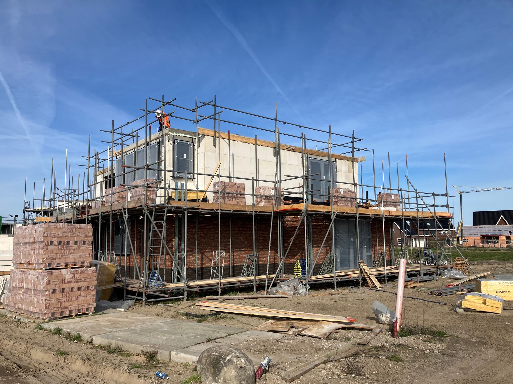 Foto 3 van Holstein-Friesian 24