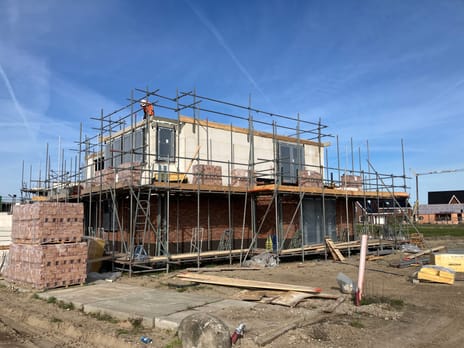 Holstein-Friesian 24 tertiary image