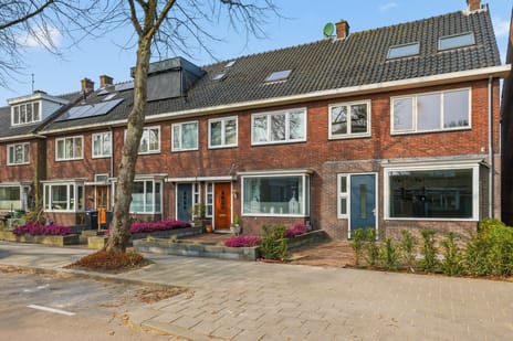 Frans Halsstraat thumbnail