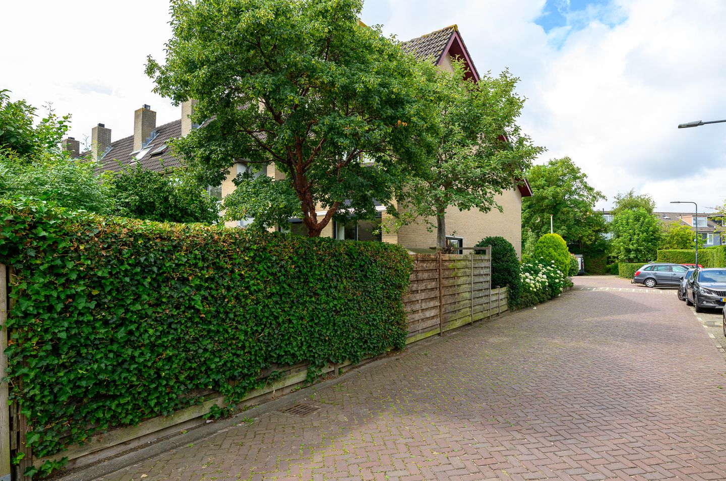 Foto 5 van Dotterbloem 17