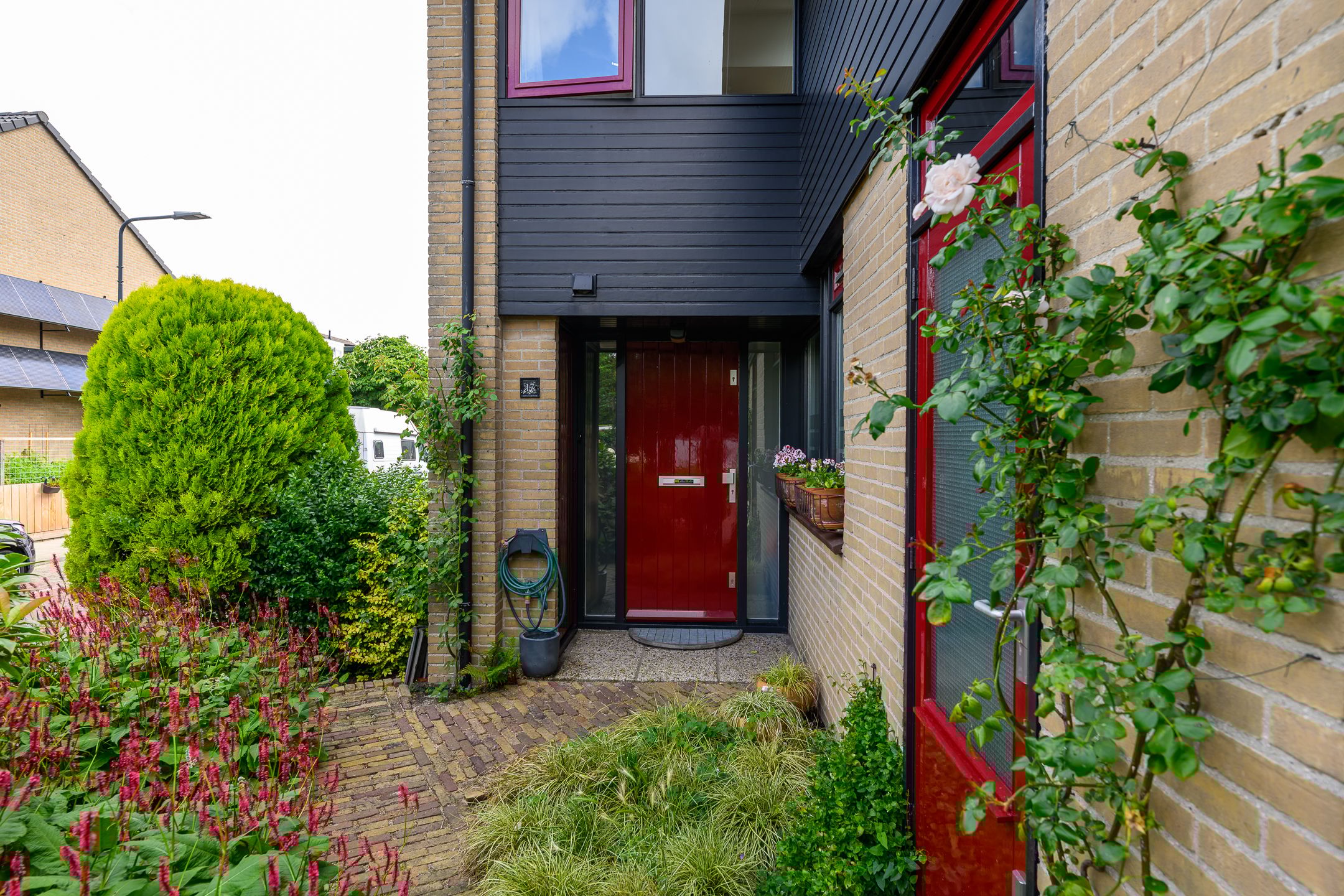 Foto 6 van Dotterbloem 17