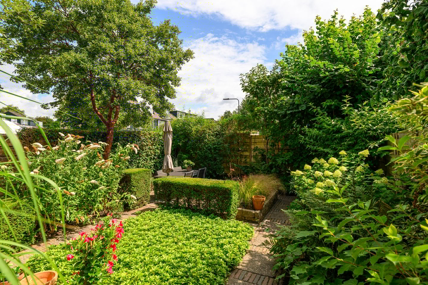 Foto 19 van Dotterbloem 17