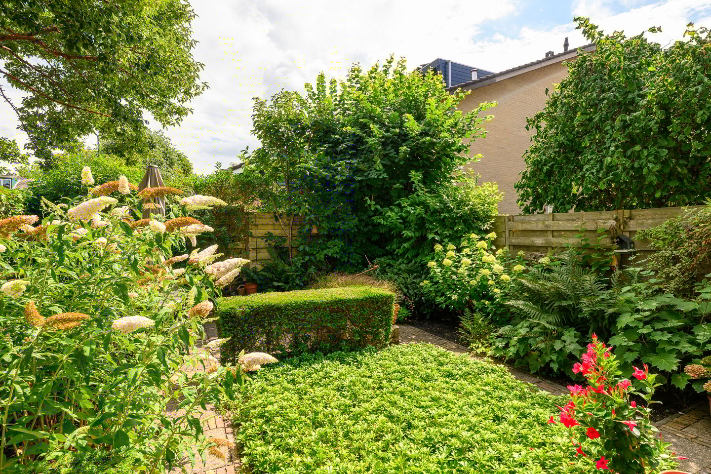 Foto 20 van Dotterbloem 17