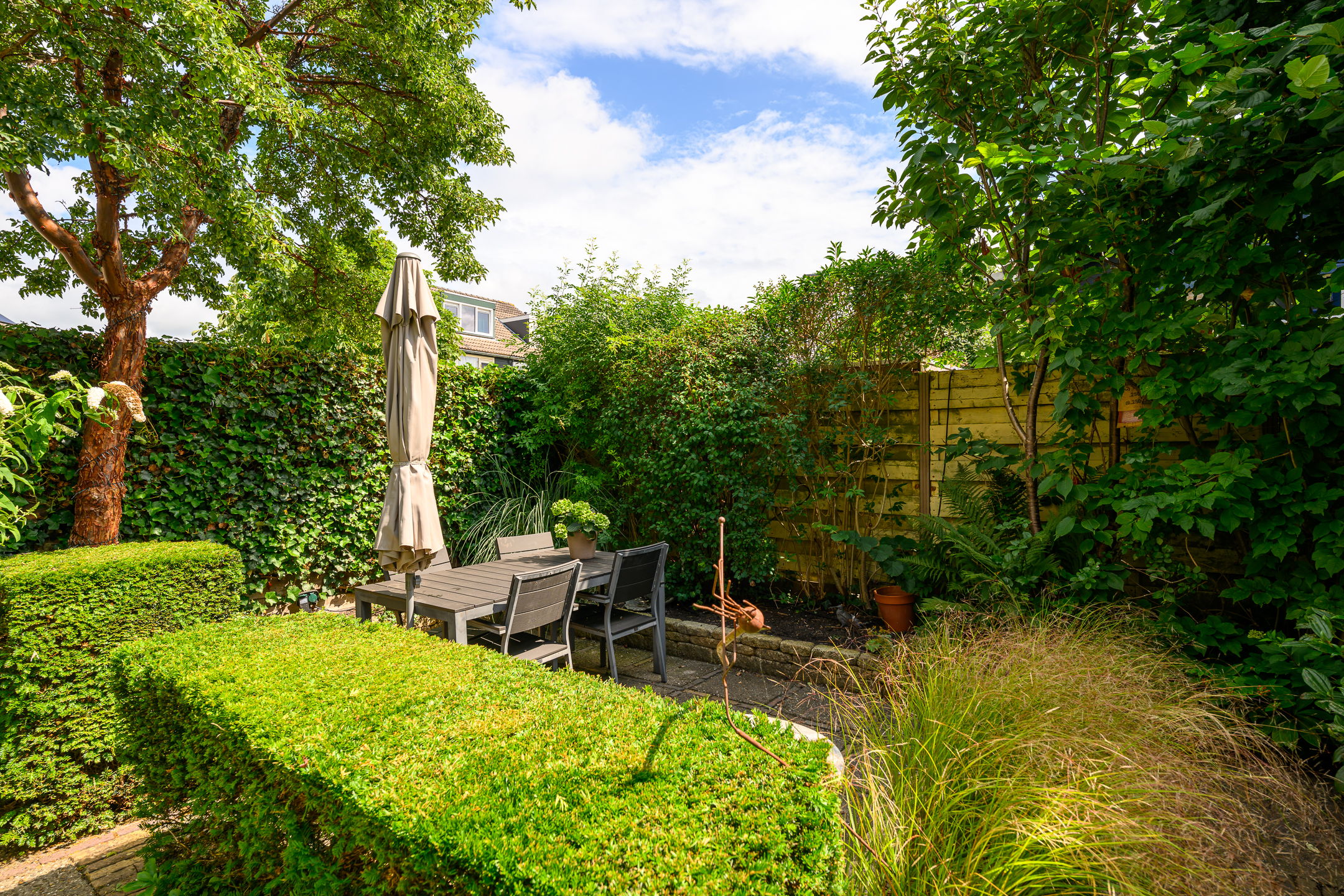 Foto 21 van Dotterbloem 17