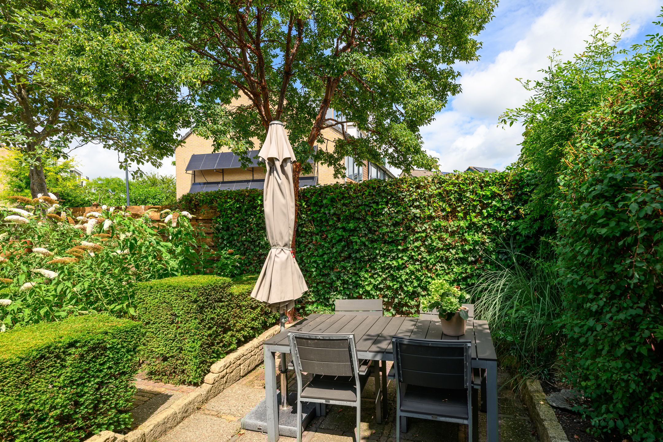 Foto 24 van Dotterbloem 17