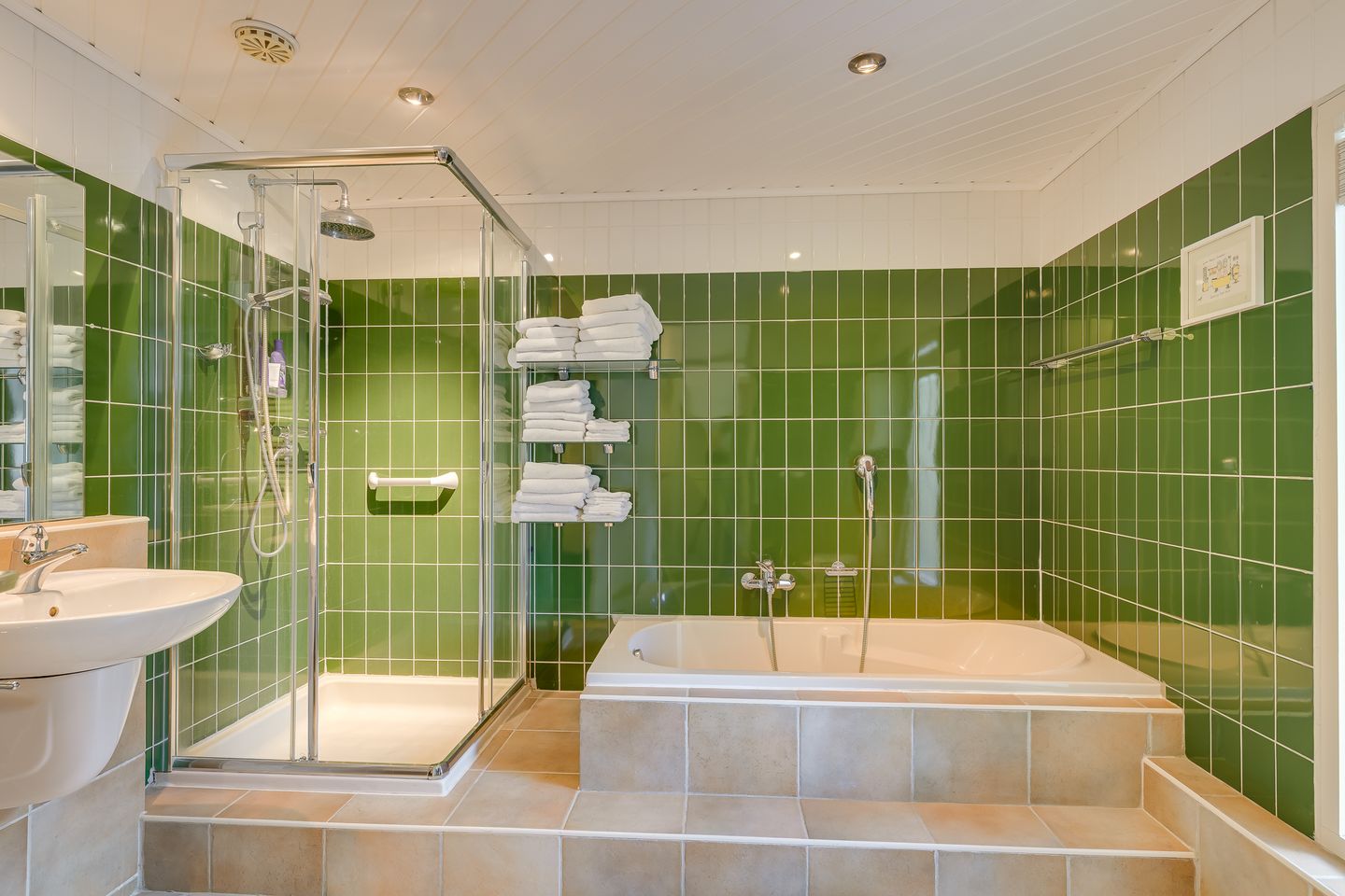 Foto 35 van Dotterbloem 17