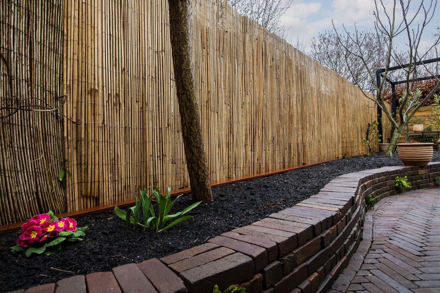 Foto 35 van Narcisstraat 36