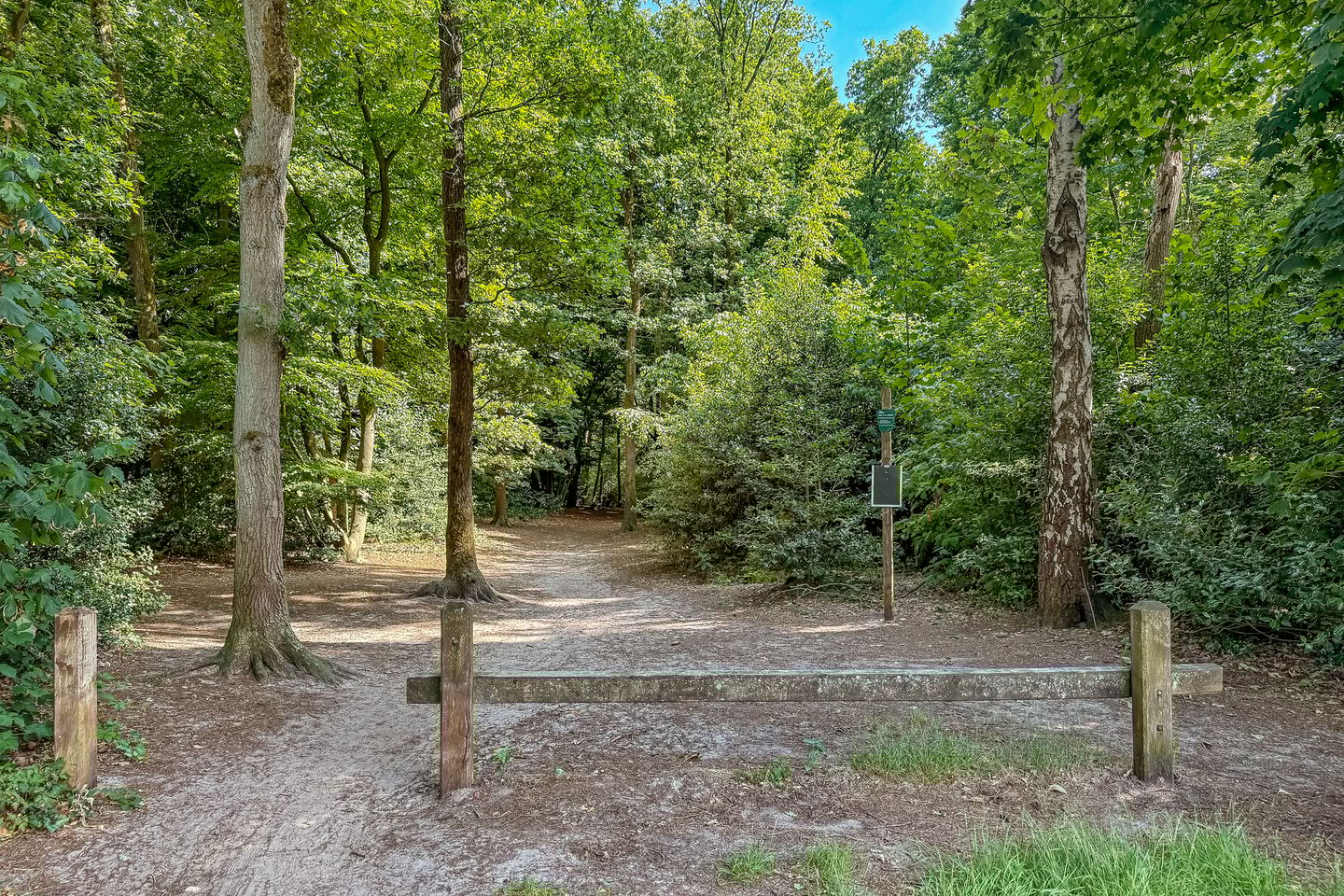 Foto 55 van Pasteurstraat 21